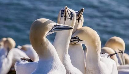 j9九游真人游戏第一品牌登录入口首进草地赛四强！郑钦文6-2、6-4拉杜卡努，进WTA伦敦站半决赛